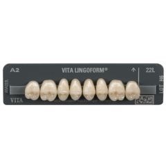 Vita Lingoform Upper Posterior