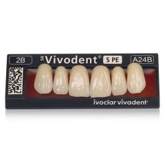 Vivodent S PE Upper Anterior