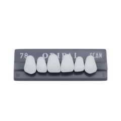 Radio Opaque Upper Anteriors