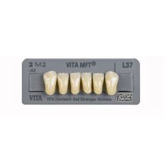 Vita MFT Lower Anteriors