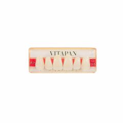 Vitapan Upper Anteriors
