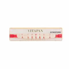 Vitapan Synoform Lower Posterior