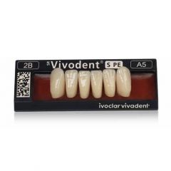 Vivodent S PE Lower Anteriors