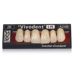 Vivodent S PE Upper Anterior