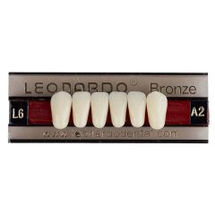 Leonardo Bronze Lower Anterior