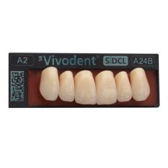 Vivodent S DCL Upper Anterior