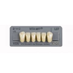 Vita MFT Lower Anteriors