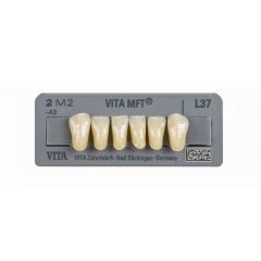 MFT Lower Anteriors