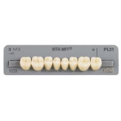 Vita MFT Lower Posteriors