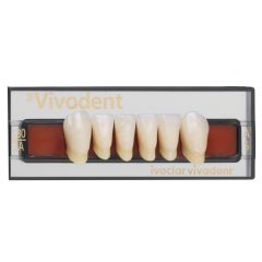 Vivodent SR Lower Anteriors