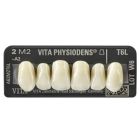 Vita Physioden Upper Anterior