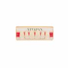 Vitapan Upper Anteriors