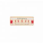 Vitapan Upper Anteriors