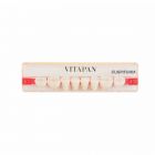 Vitapan Cuspiform Lower Posterior